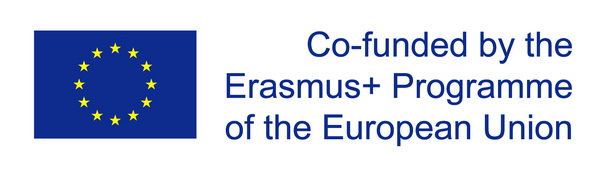 eu flag co
